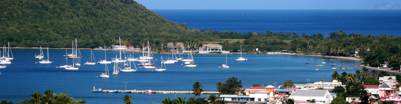Dominica citizenship